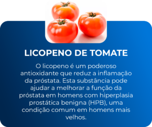 LICOPENO WEB