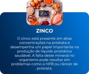 ZINCO WEB